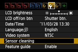 canon 600d sensor cleaning