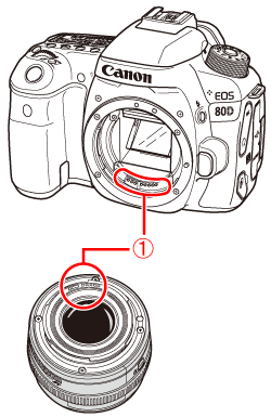 canon 80d utility