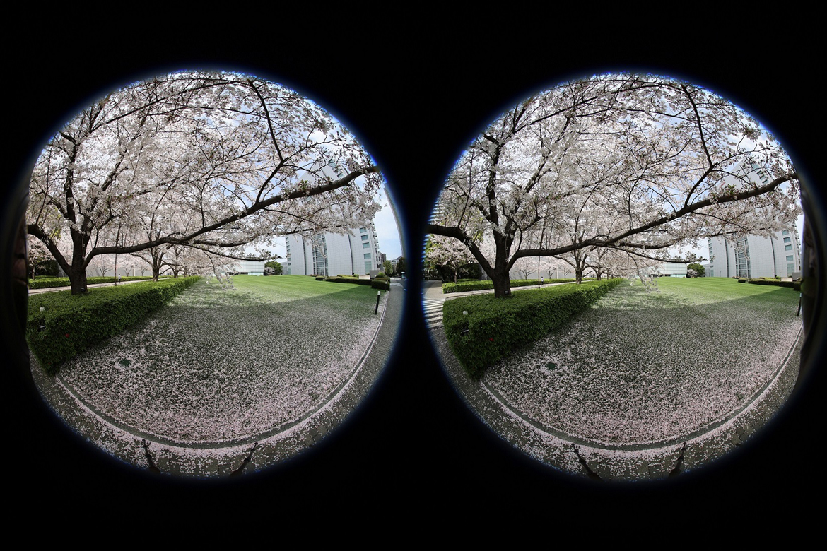 canon 3d vr